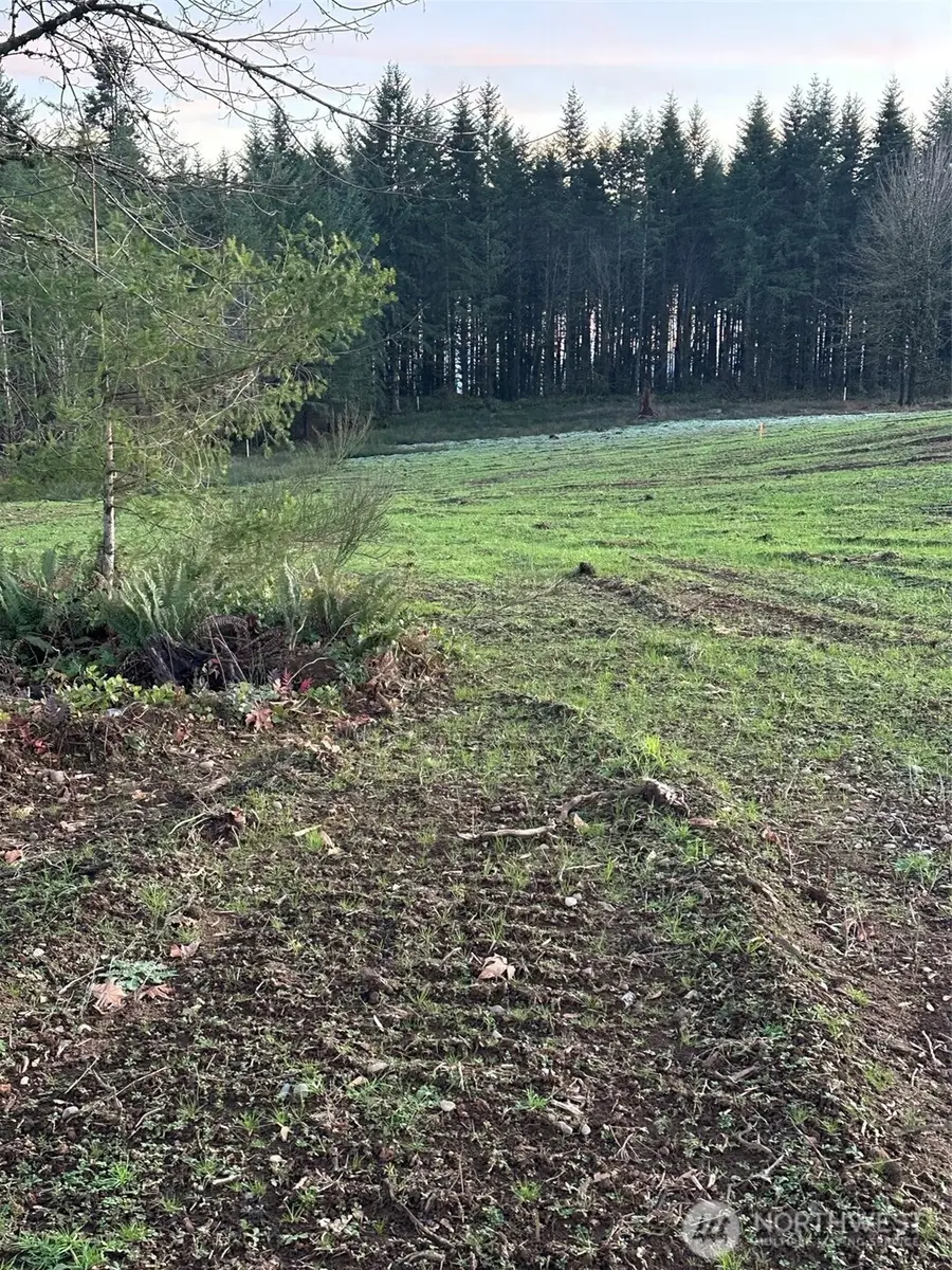 239 Suncrest Drive #2, Castle Rock, WA 98611 - Image #2