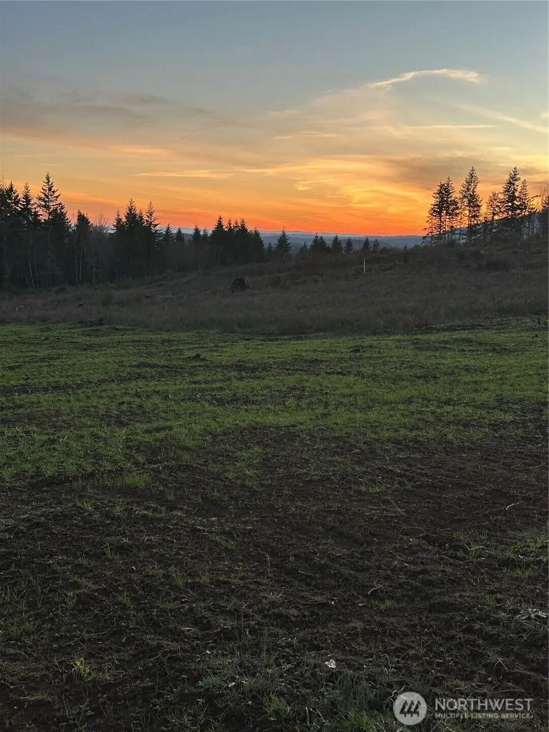 242 Suncrest Drive #3, Castle Rock, WA 98611 - Image #1