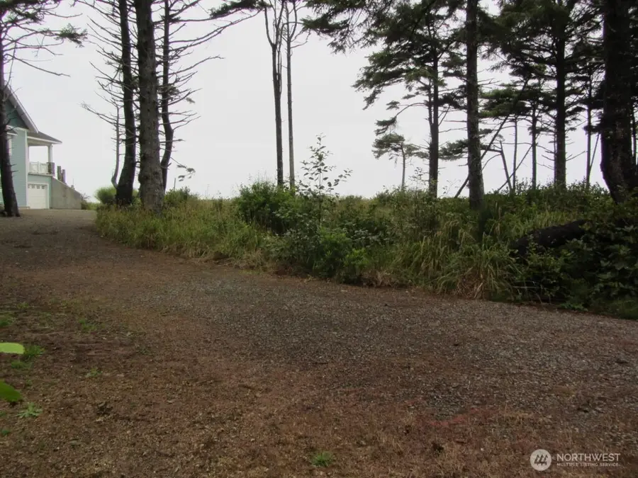 29 Golden Lane, Pacific Beach, WA 98571 - Image #2