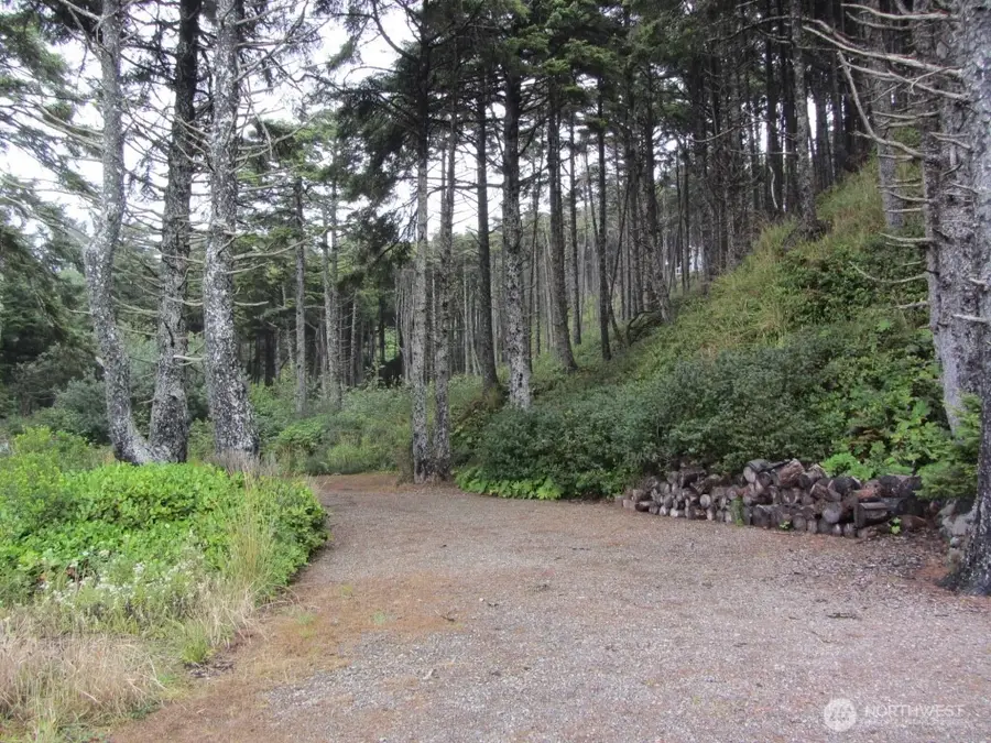 29 Golden Lane, Pacific Beach, WA 98571 - Image #3