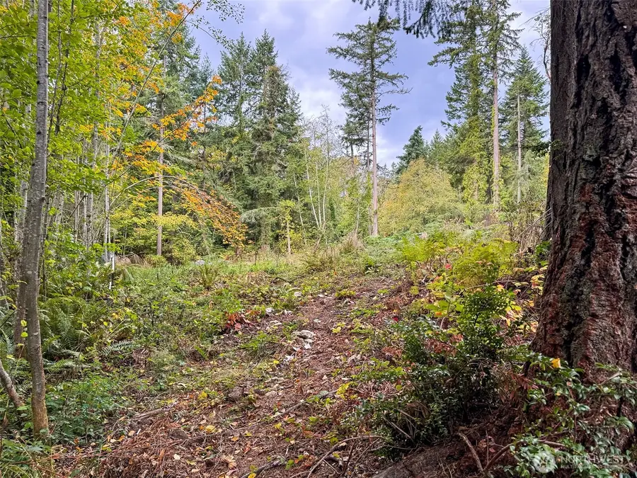 4700 Rose Avenue Ne, Bainbridge Island, WA 98110 - Image #3