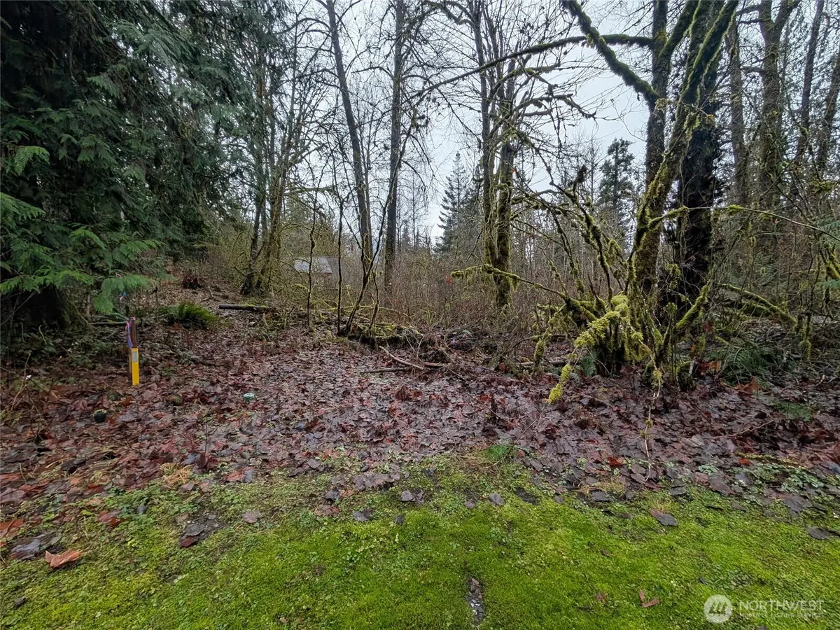 16006 Shuksan Rim Drive #Lot 6, Glacier, WA 98244 - Image #1