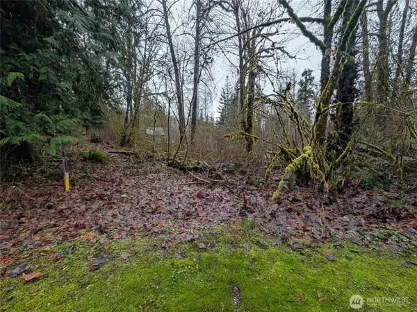 16006 Shuksan Rim Drive #Lot 6, Glacier, WA 98244