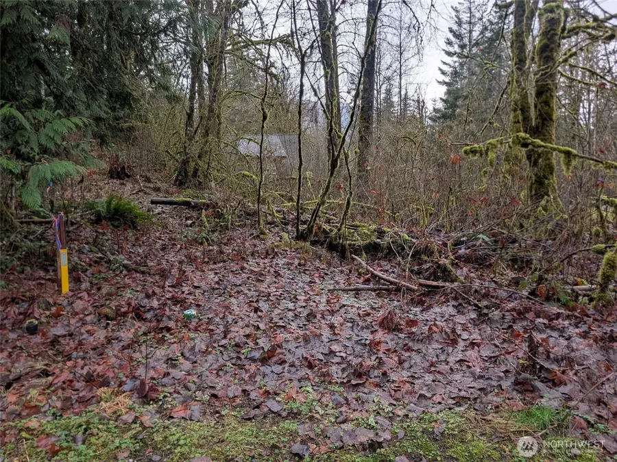 16006 Shuksan Rim Drive #Lot 6, Glacier, WA 98244 - Image #2