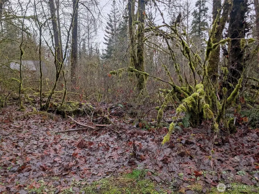 16006 Shuksan Rim Drive #Lot 6, Glacier, WA 98244 - Image #3