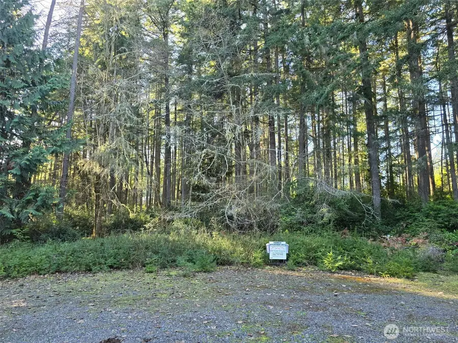 11624 Mill Place, Anderson Island, WA 98303 - Image #3