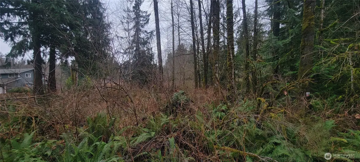 11228 312th Avenue Ne, Carnation, WA 98014 - #1