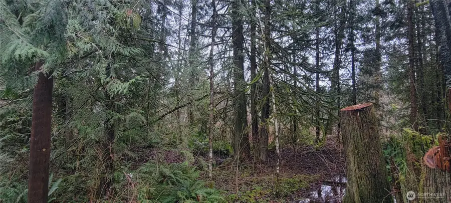 11228 312th Avenue Ne, Carnation, WA 98014 - #2