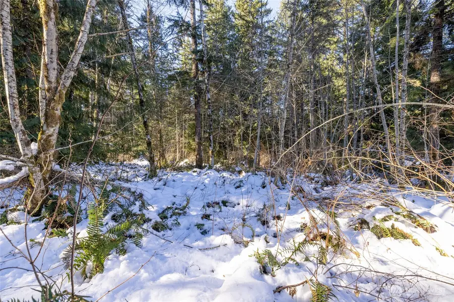 0 Firestation Avenue Nw, Seabeck, WA 98380 - Image #2