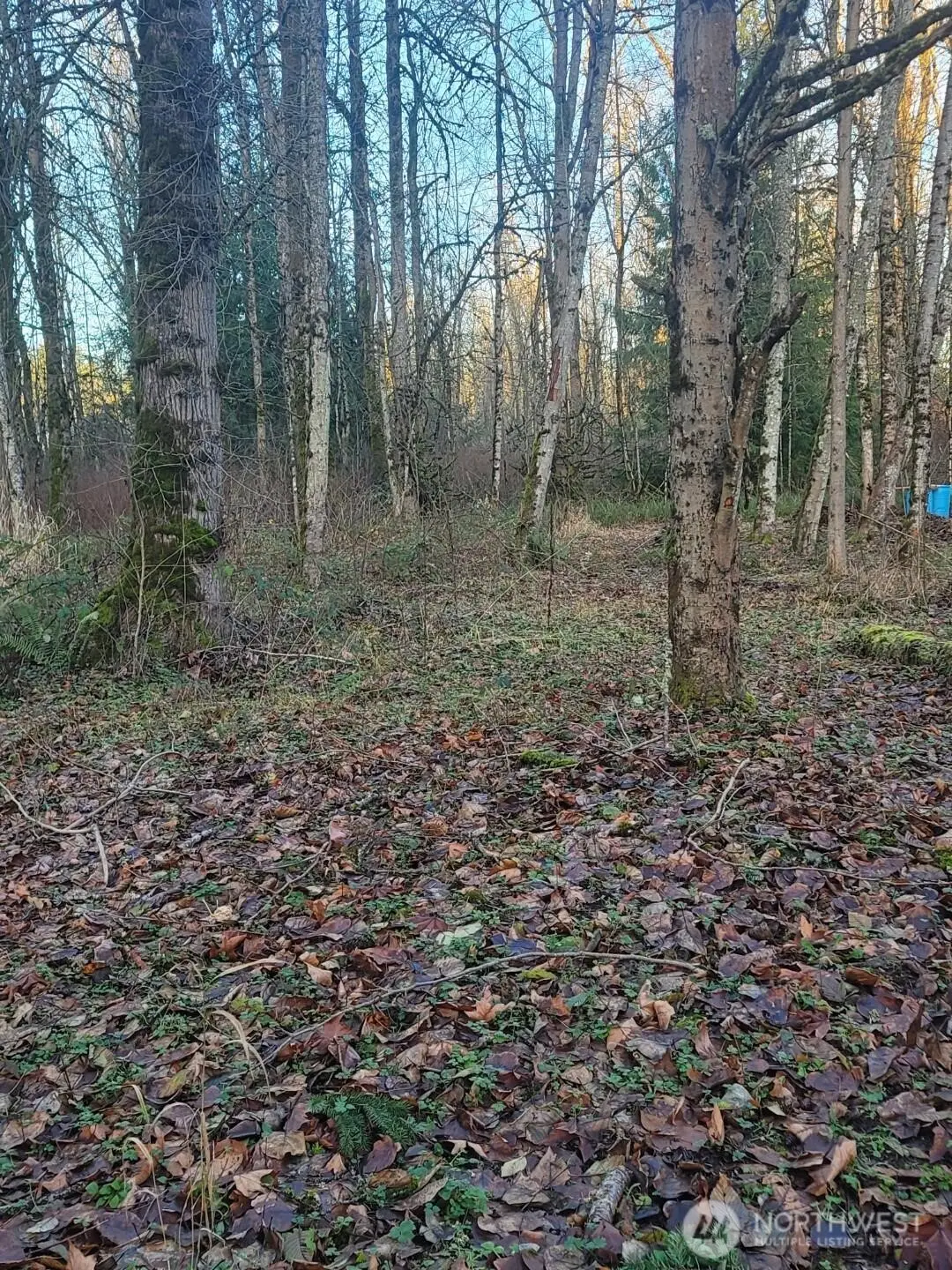 35750 Military Road S, Auburn, WA 98001 - Image #1