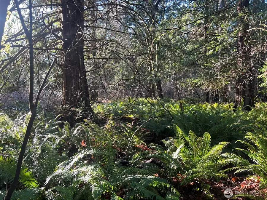 0 Tyee Drive, Point Roberts, WA 98281 - Image #2