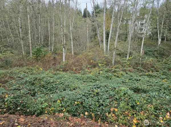 8201 5th Avenue W, Everett, WA 98204