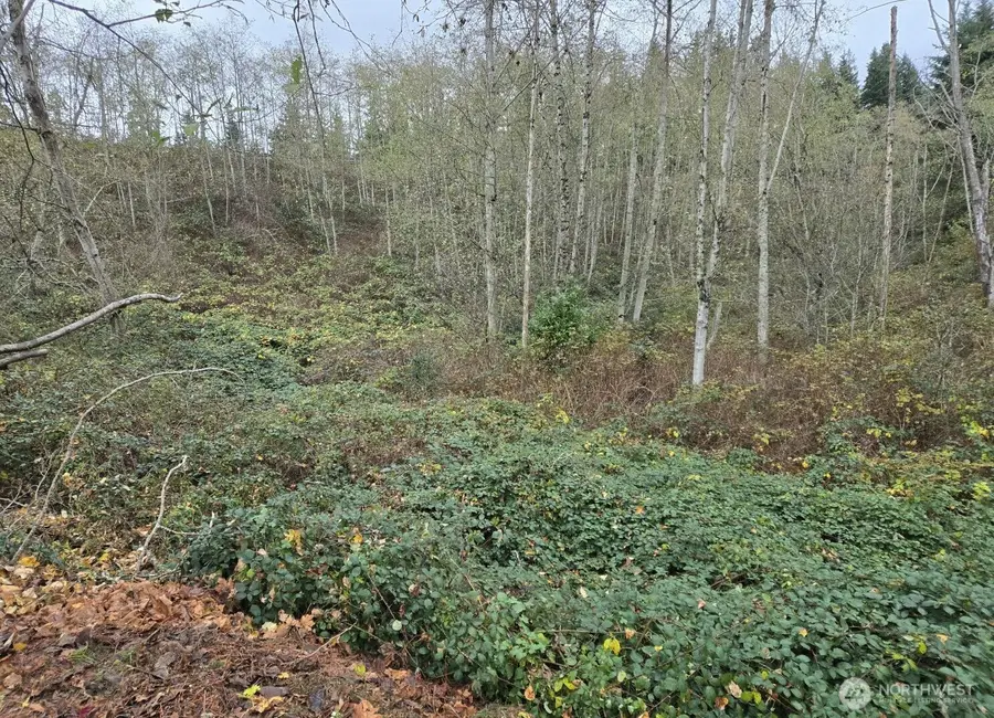 8201 5th Avenue W, Everett, WA 98204 - Image #2