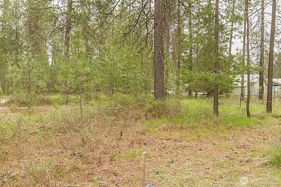 202 Eagle Drive #1, Chewelah, WA 99109 - Image #3