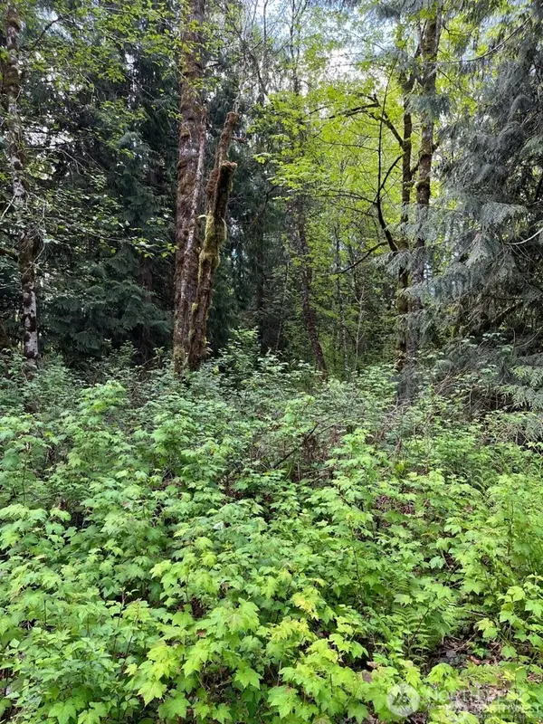 13420 74th Street Ne, Lake Stevens, WA 98258