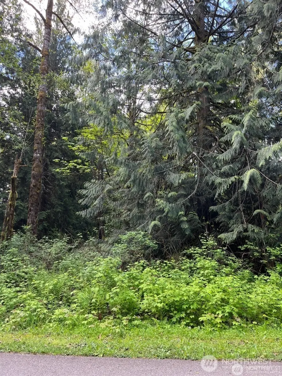 13420 74th Street Ne, Lake Stevens, WA 98258 - Image #2