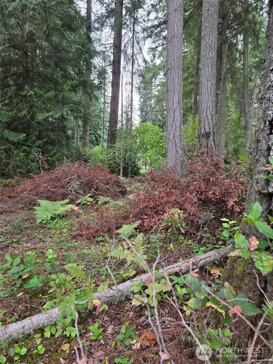 11119 122nd Avenue Ct #24, Anderson Island, WA 98303 - Image #2