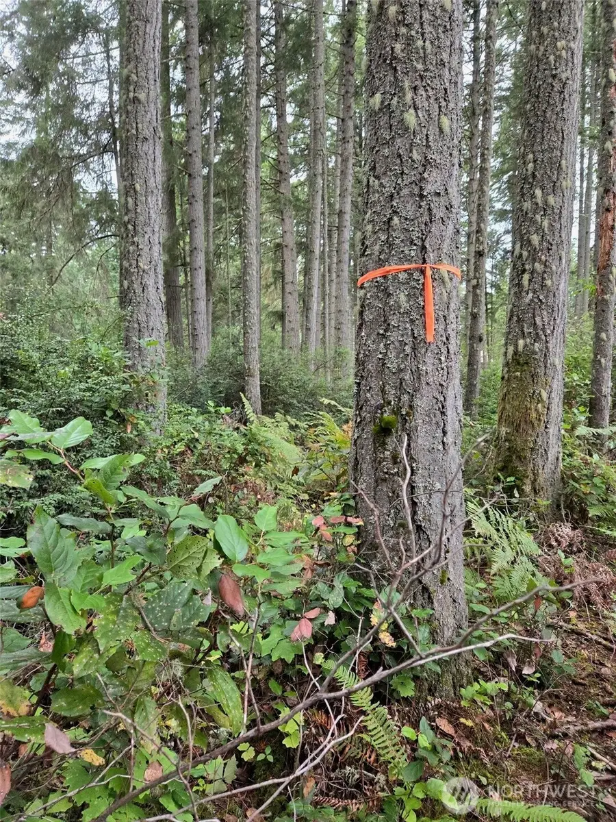 11119 122nd Avenue Ct #24, Anderson Island, WA 98303 - Image #3