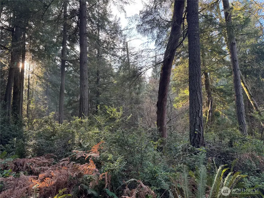 9606 Otso Point Road #34, Anderson Island, WA 98303 - Image #2