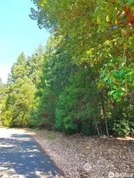 12611 Silver Drive #96, Anderson Island, WA 98303 - Image #1