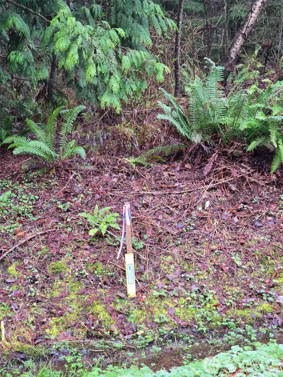 0 Fisherman's Bend Lane, Blaine, WA 98230 - Image #3