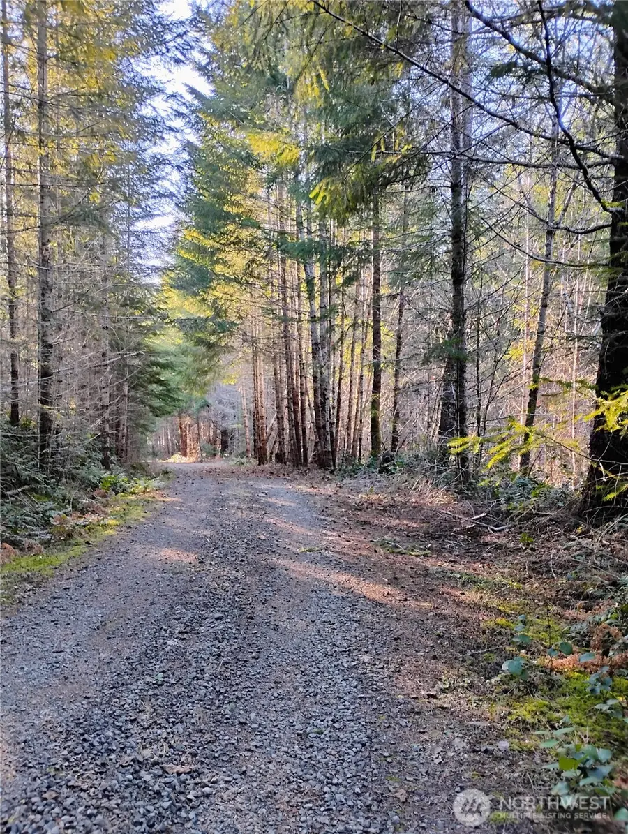 0 Skate Creek Rd S, Packwood, WA 98361 - Image #3