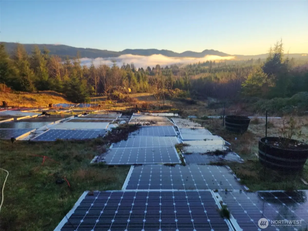 317 Parpal Road, Naselle, WA 98638 - Image #1