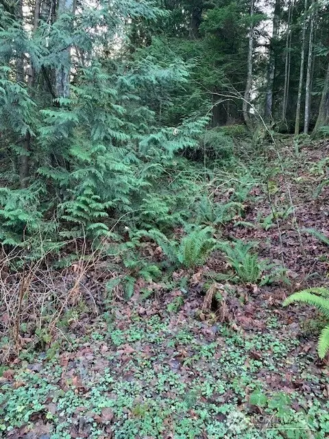 283 SE 146th Street #152, Issaquah, WA 98027