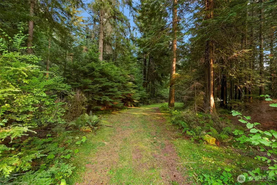 6801 South Pass Rd., Maple Falls, WA 98266 - Image #3