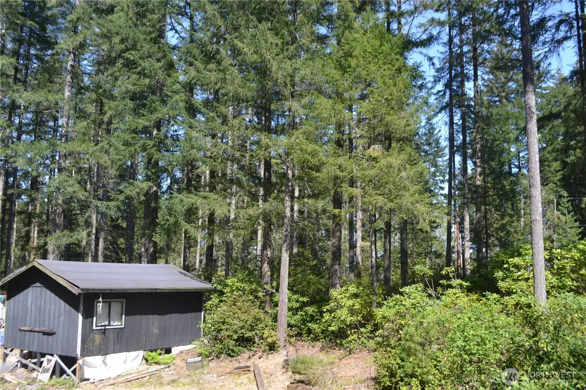 80 NE Collins Drive E, Tahuya, WA 98588 - Image #1