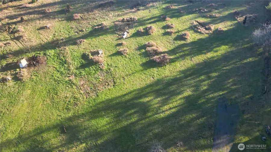 441 Elma Hicklin Rd W, McCleary, WA 98557 - Image #3