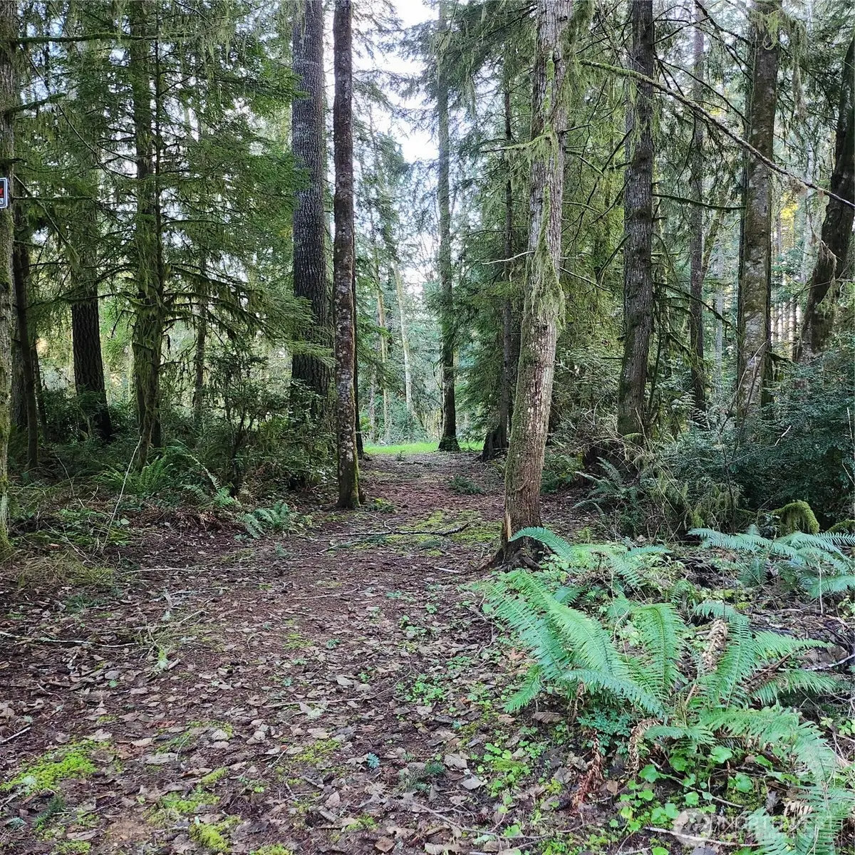 17616 30th Street Nw, Lakebay, WA 98349 - Image #1