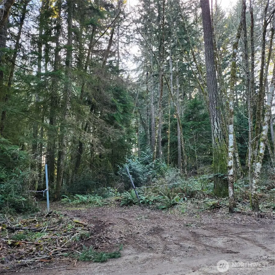 17616 30th Street Nw, Lakebay, WA 98349 - Image #3