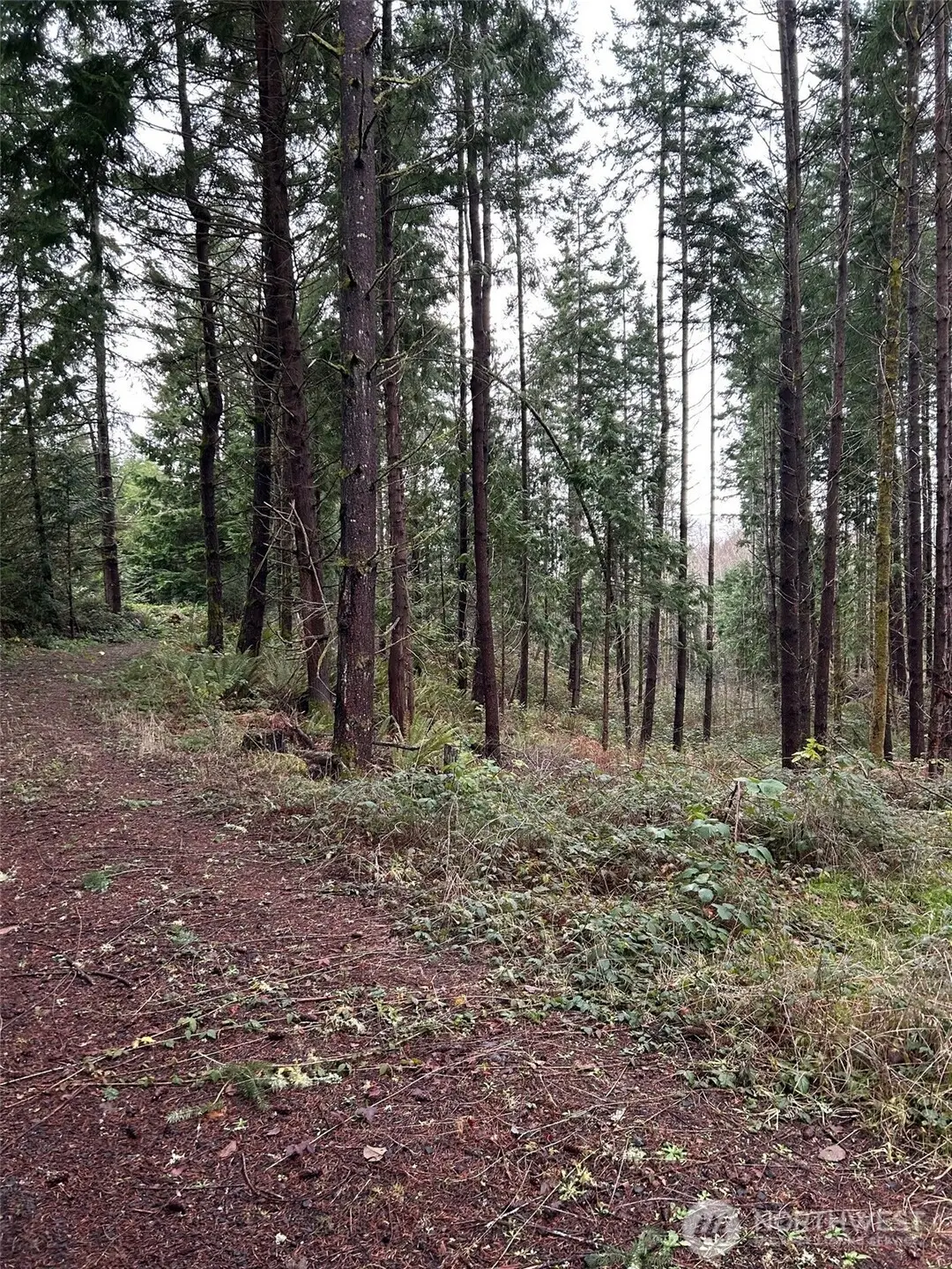 0 NE Sawdust Hill Road #Lot 6 as amended, Poulsbo, WA 98370 - Image #1