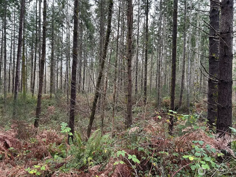 0 NE Sawdust Hill Road #Lot 6 as amended, Poulsbo, WA 98370 - Image #2