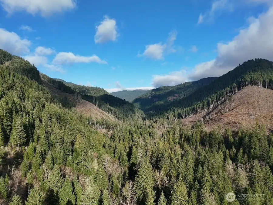 1951 Bear Creek Road, Carson, WA 98610 - Image #3