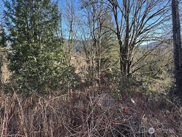 57 188th Avenue Ne, Redmond, WA 98053 - Image #2