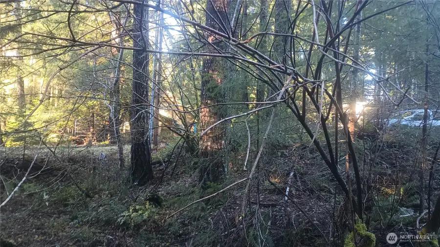 123 Elkhorn Trail #61, Packwood, WA 98361 - Image #3