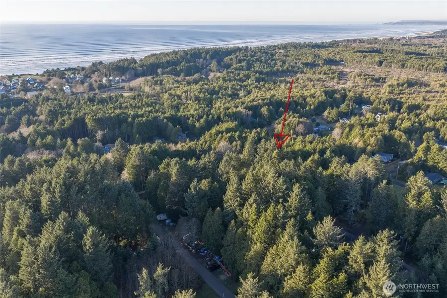 40 Robin Lane, Pacific Beach, WA 98571 - Image #2