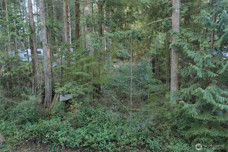 40 Robin Lane, Pacific Beach, WA 98571 - Image #3