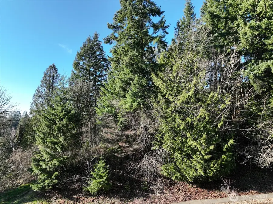 0 City View Boulevard, Longview, WA 98632 - Image #2