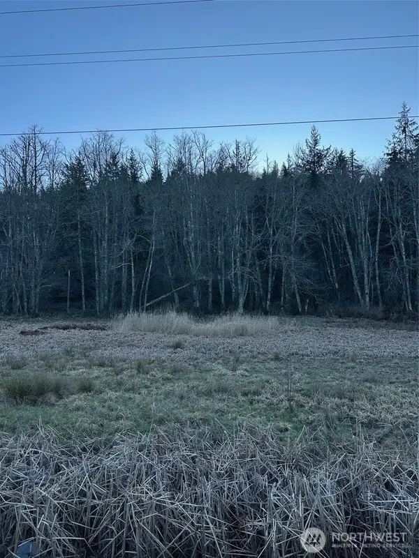 51720 Mountain Highway E, Eatonville, WA 98328