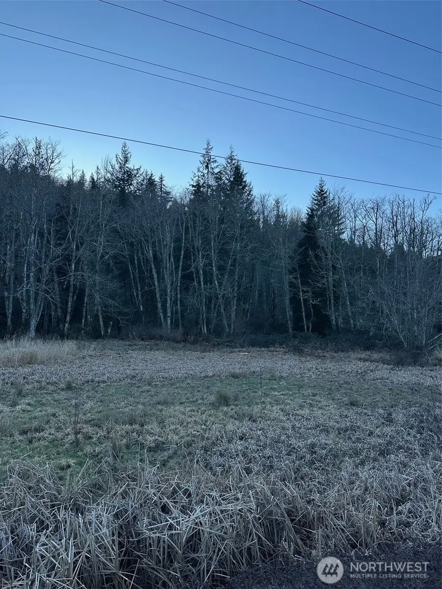 51720 Mountain Highway E, Eatonville, WA 98328 - Image #2