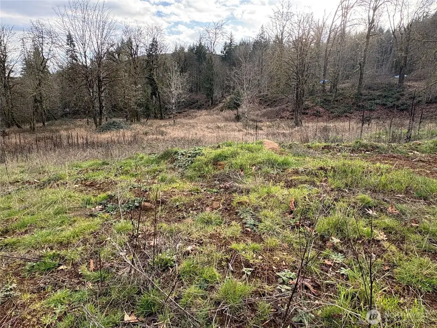 155 Benson Lane, Castle Rock, WA 98611 - Image #3