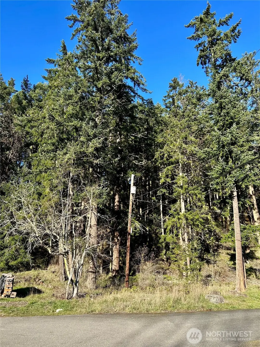 55 Vancouver Place #52, Port Townsend, WA 98368 - Image #1