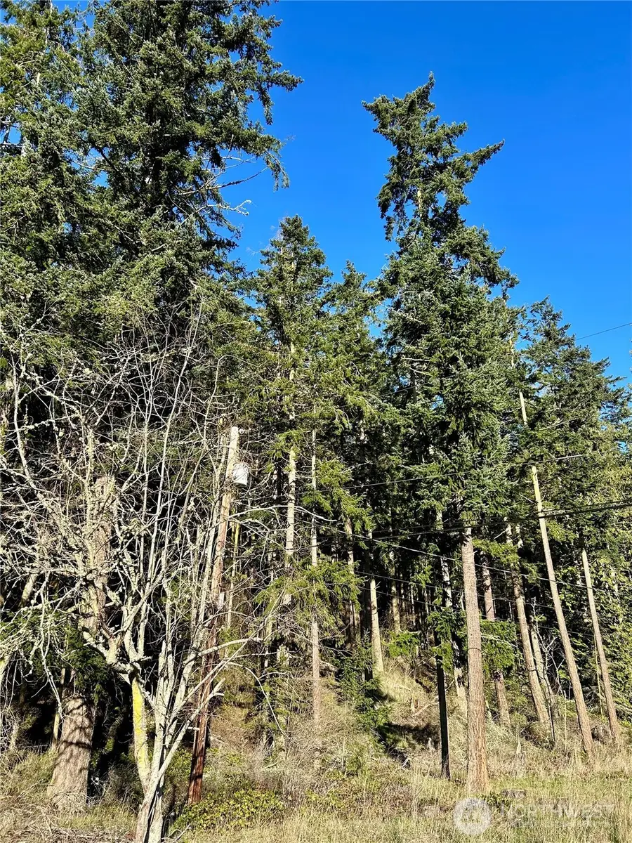 55 Vancouver Place #52, Port Townsend, WA 98368 - Image #3