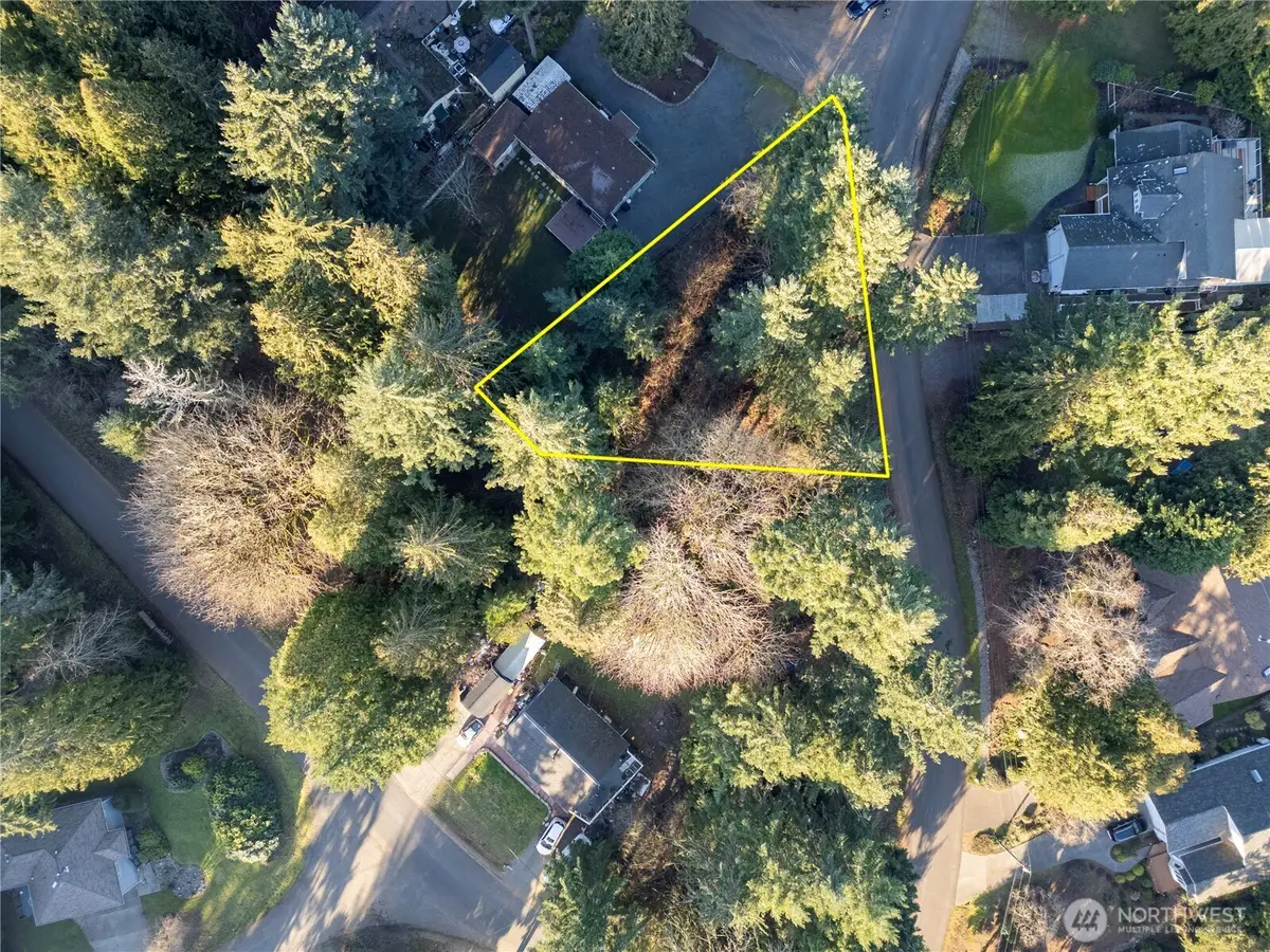 10916 Seaview Drive, Anderson Island, WA 98303 - Image #1