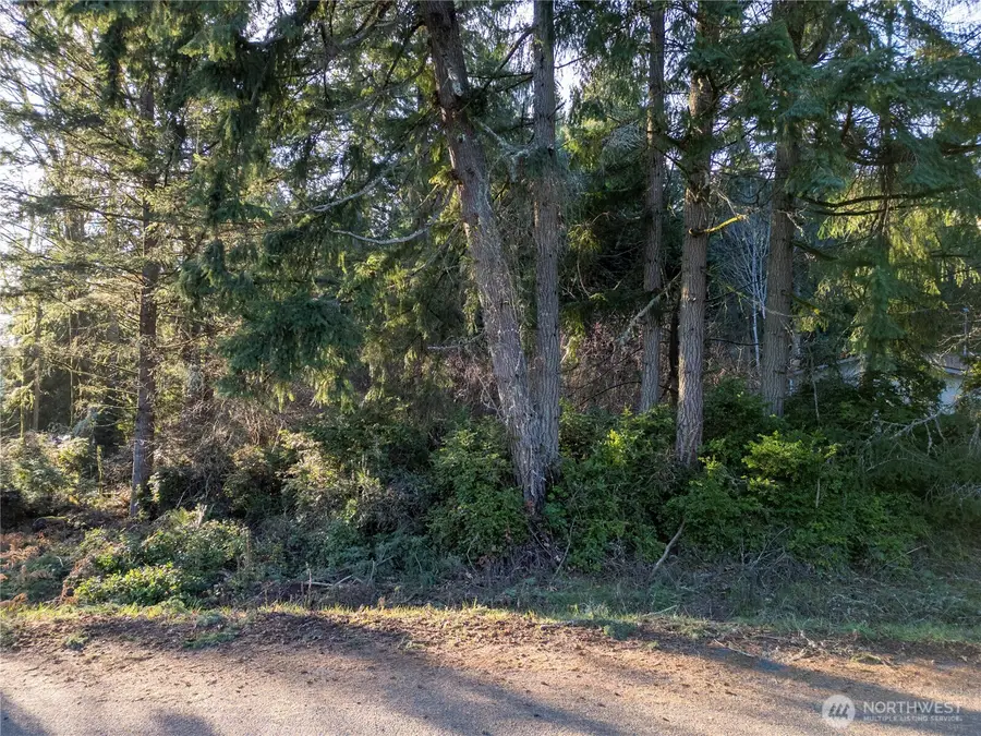 10916 Seaview Drive, Anderson Island, WA 98303 - Image #2