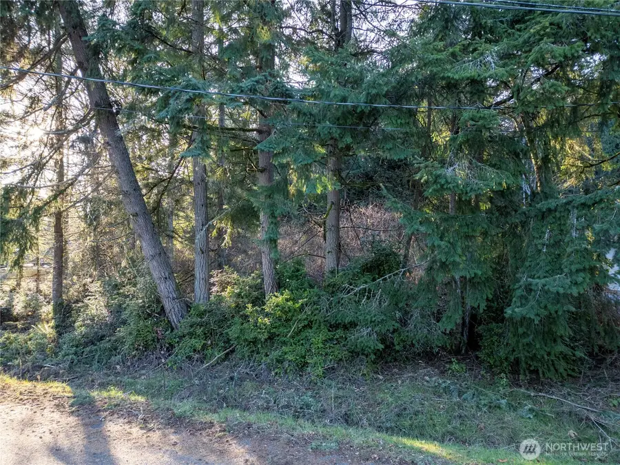 10916 Seaview Drive, Anderson Island, WA 98303 - Image #3