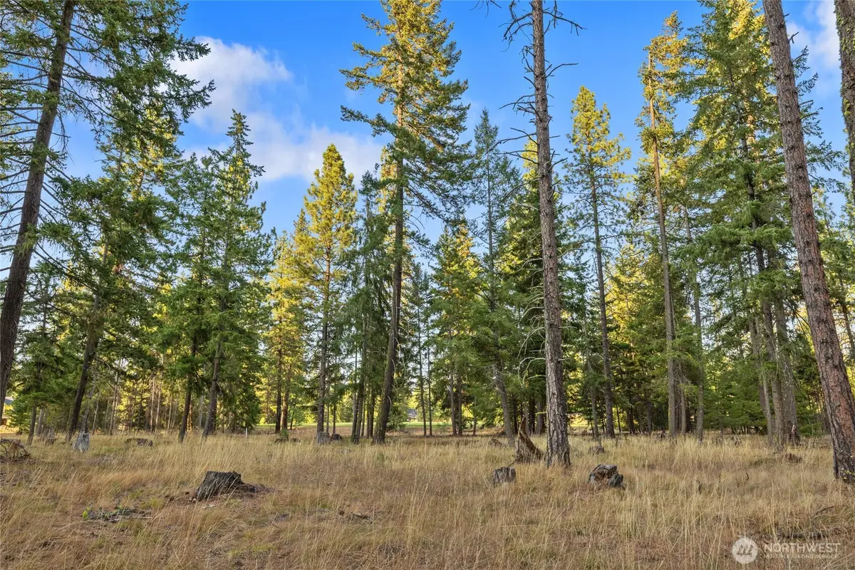 32 Domerie Park Loop #17-32, Cle Elum, WA 98922 - Image #1